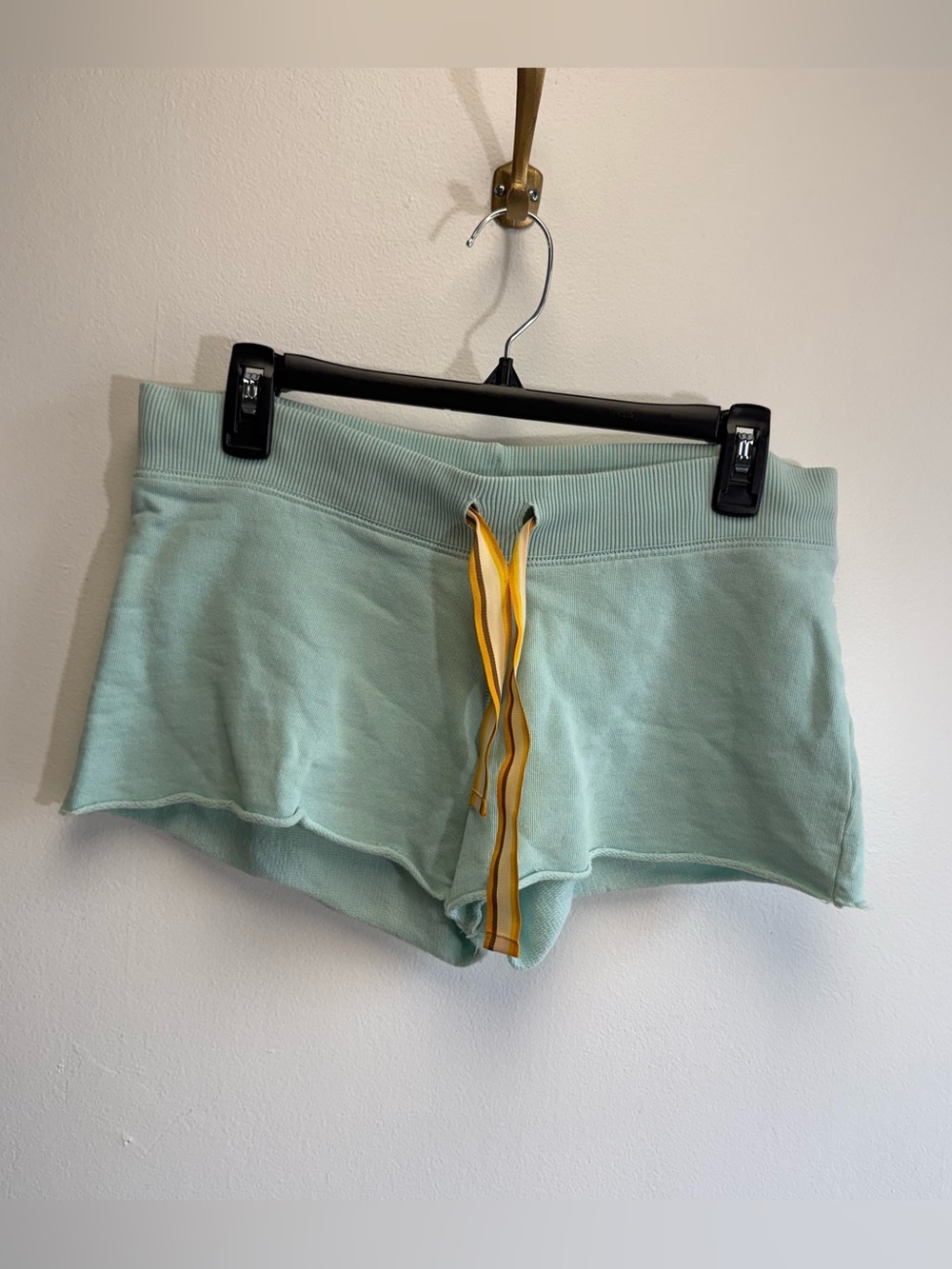 Free People Y2K Light Blue Low Rise Cheeky Booty Shorts Drawstring Waist XS